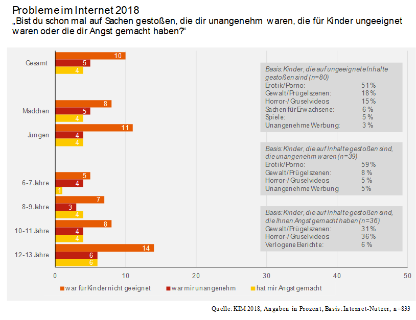 Grafik aus der KIM-Studie 2018. Probleme im Internet